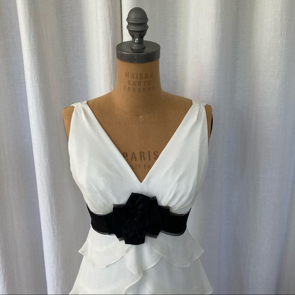 BCBG NWT Silk bridal shower or wedding dress - Picture 3 of 9